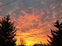 F1F6DC9B-DAE7-47CF-8871-294939DEEF86.jpeg
