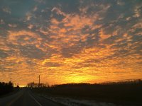 585EBE42-69C5-439D-8946-23ED23EF25EA.jpeg