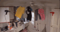 27D8935E-C093-4C49-AFFF-AE0509FE60C6.gif