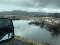 57DAF056-7F46-459A-BDE1-78694937C48C.jpeg
