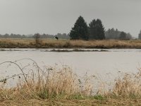 22BC9151-30C5-49AE-BA38-ABFE0B9D1F33.jpeg