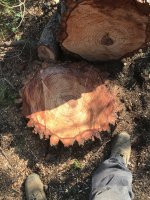 IMG_0755.JPG