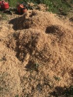 IMG_0820.JPG