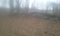 20200130_153633.jpg