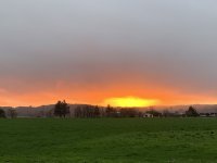 F1DE0034-D775-461D-9F9F-D6DDE0E3FEA5.jpeg