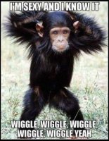 funny-i-m-sexy-and-i-know-it-monkey-012.jpg