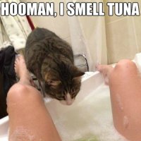 tfw-you-wanna-eat-yo-gfs-pussy-but-it-amp-039-s-smells-like-dead-dolhpin-and-whale_fb_7049885.jpg