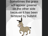 4DF924C7-171A-4D0C-9DE6-AB6DD0411370.png