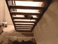 upstairs-motivational-quotes.gif