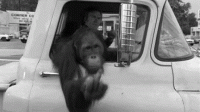 C96E4920-A82F-4660-9106-CEDAF8CFC501.gif