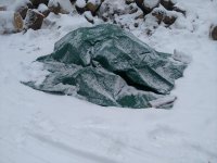 IMG_20200212_153155871.jpg