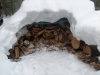 IMG_20200212_153245059.jpg