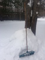 IMG_20200214_100430594.jpg