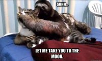 best-rapist-sloth-meme.jpg