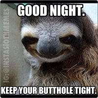 best-funny-perverted-sloth-memes.jpg