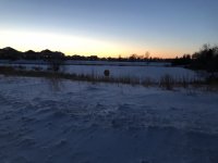 80DF6B8D-8033-4D38-9B8A-CCFE9395A046.jpeg
