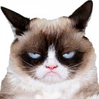 grumpy cat2.jpg