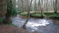 DSC_3049.JPG