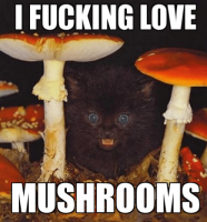 20200222_083248.png