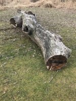 woodxx.jpg