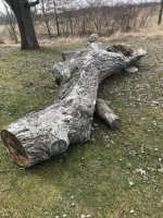 woodx.jpg