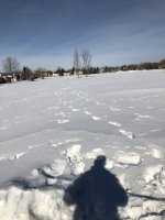 24F0DB7A-689C-449D-83D6-B83391CEC1A0.jpeg