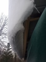IMG_20200225_165657548.jpg