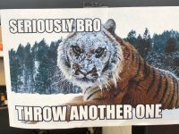 bro.jpg