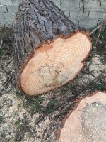 IMG_1055.JPG