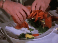 tenor (2).gif