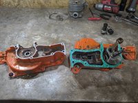 IMG_20200301_225202.jpg