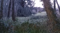 DSC_9509.JPG