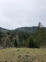B06C3F38-C7AC-486B-900E-C7C01A7D6773.jpeg