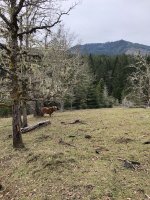 6280D09F-4A47-4AB1-9B47-52EB90E038EC.jpeg