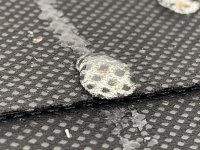 7968E16E-1041-417C-8660-FDC420AE1A44.jpeg