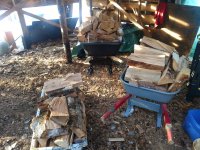 IMG_20200307_162350456.jpg