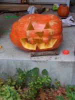20161030_172619.jpg