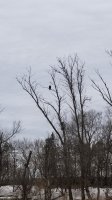 20200310_131849.jpg