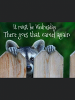 170764F5-442B-4DE7-89F8-0FFB92B47108.png