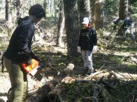 20160528_094921.jpg 20160528_094921.jpg