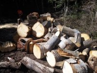 20160528_094745.jpg 20160528_094745.jpg