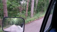20160604_133649.jpg