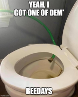 86224485.png