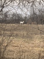 IMG_0770.jpg