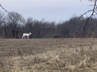IMG_0772.jpg