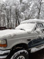 IMG_20200316_075913.jpg