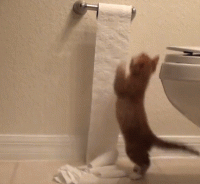 toilet.gif