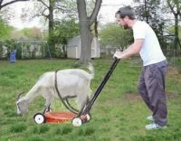 goat-mower.jpg