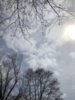 IMG_0108.JPG