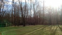20200329_092423.jpg
